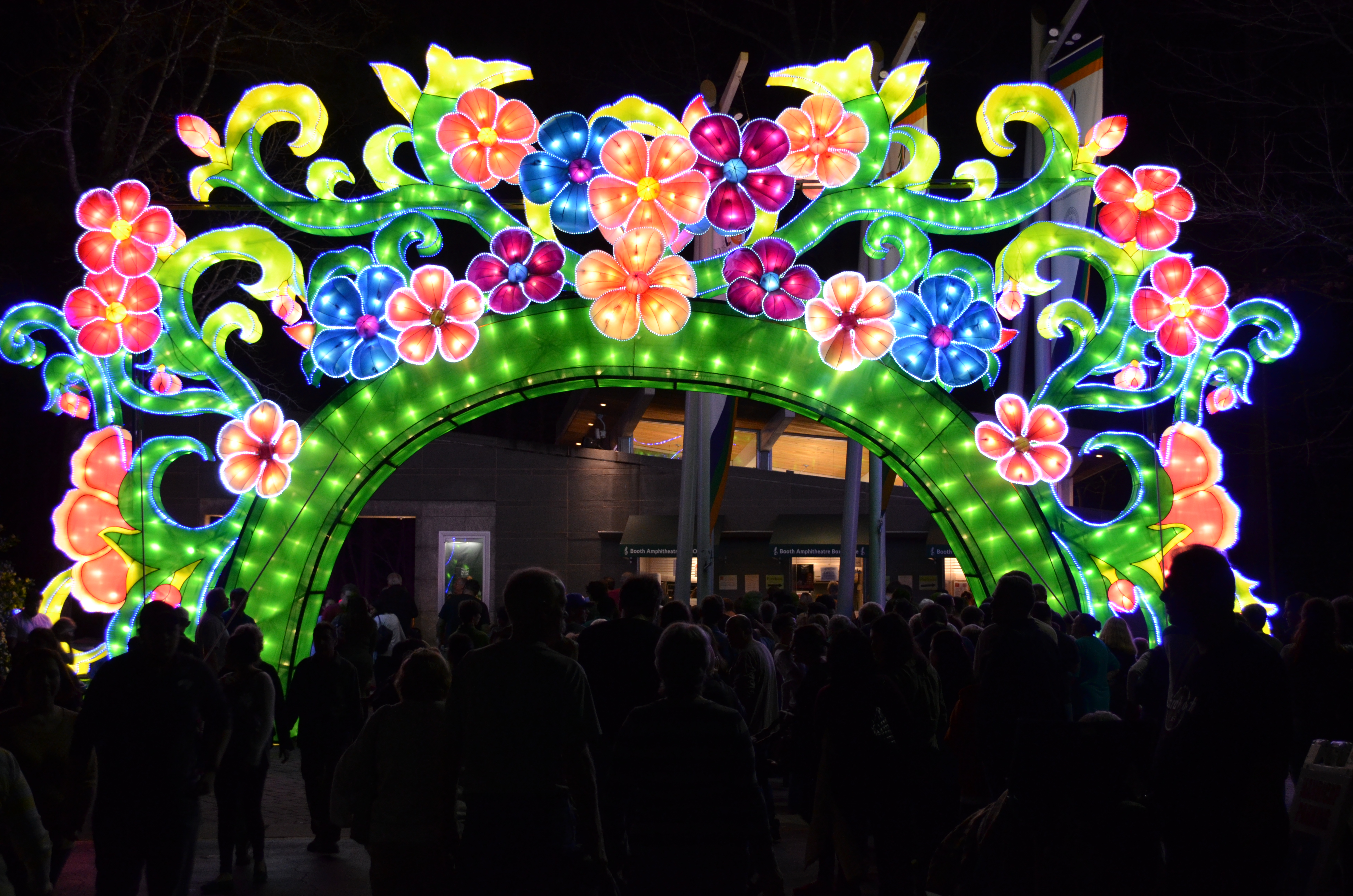 ./2015/33 - Chinese Lantern Festival/DSC_0572.JPG